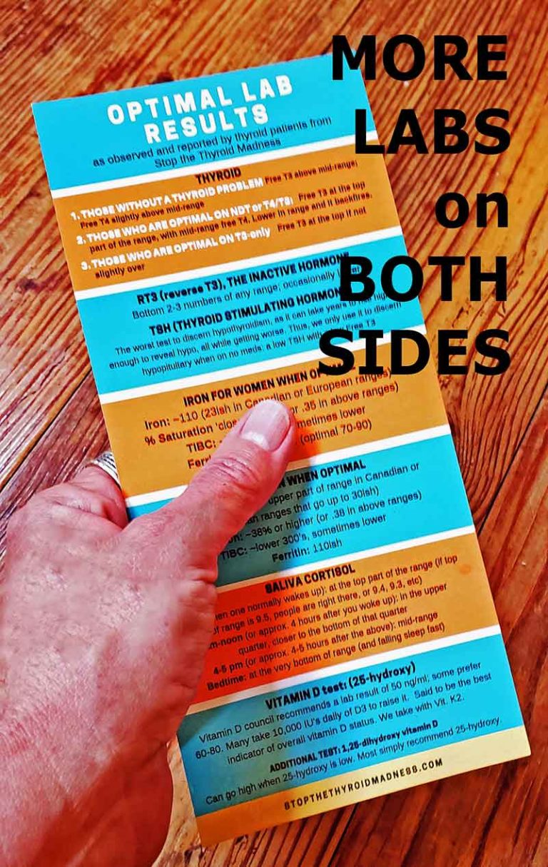 Lab Values Reference Card | Laughing Grape Publishing